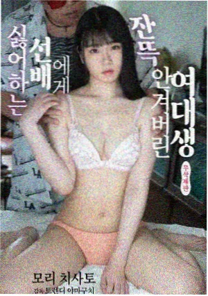 深夜纪录专栏板块封面